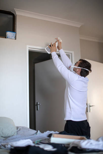 Best Environmental Consulting for Mold Prevention  in Star, ID