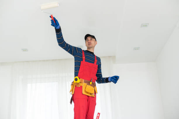 Best Emergency Mold Remediation  in Star, ID
