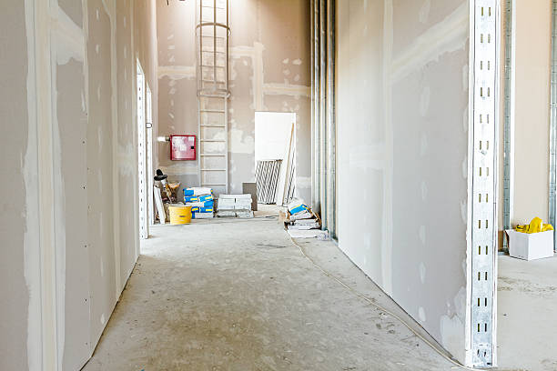 Best Mold Remediation for Healthcare Facilities  in Star, ID